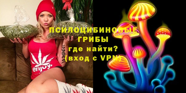 молекула духа Абинск