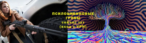 молекула духа Абинск