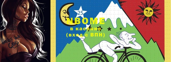 мдпв Абаза
