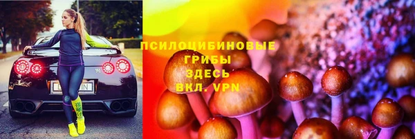 амф Алексин